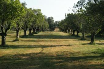 Agroturismo Casapanetta