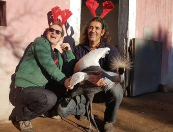 Agroturismo La Fattoria Delle Tartarughe