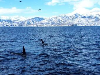 Hostal Shiretokoserai