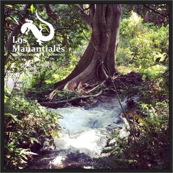 Hotel Balneario Natural Los Manantiales