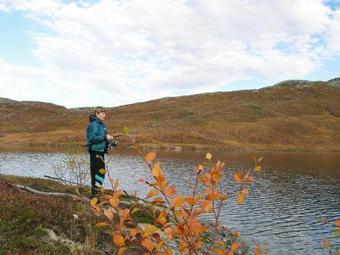 Holiday Home Skorovatn