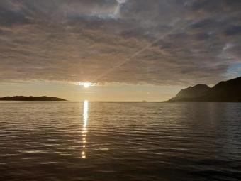 Northern Light Hotell/camp Steinfjord