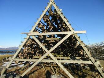 Albergue Melastua Gjestehus