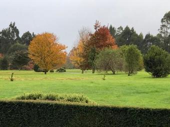 Bed & Breakfast Lake Brunner Longhouse