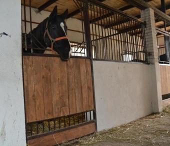 Agroturismo Stajnia Klisz�w