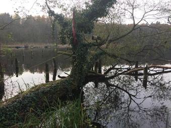 Dom Nad Jeziorem Gwiazda