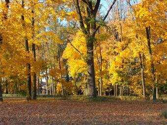 Bed & Breakfast Dw�r Strzy?ew