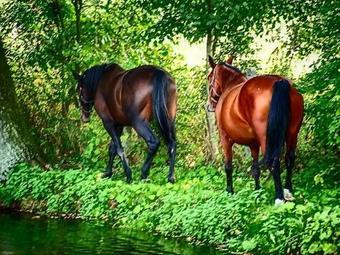 Hostal Dworek ?w. Antoniego II