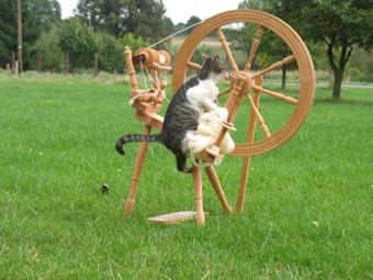 Agroturystyka Dom Pod Sow?