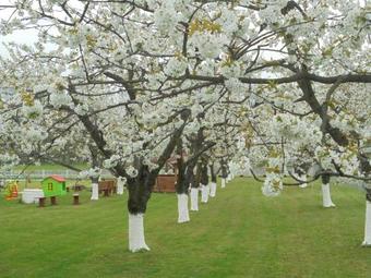 Hostal Pensjonat Krysia