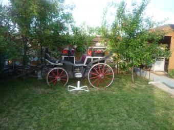 Hostal Pension Motanul Galanton