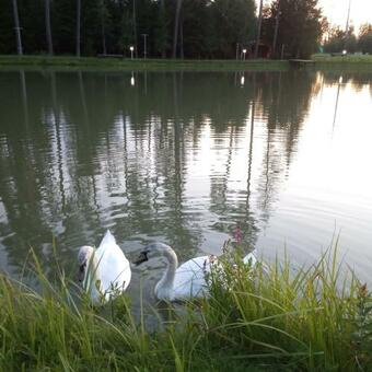Hotel Park-otel Gorizont