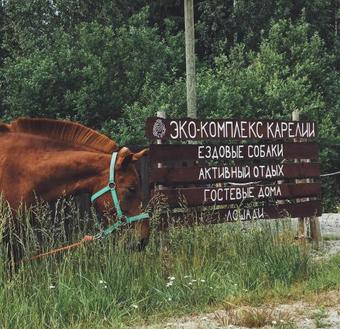 Hostal Guesthouse Husky Moa