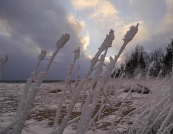 Vacation Home Moroshka