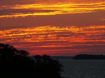 Bed & Breakfast Great Oak Manor