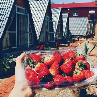 Motel Homestay B�nh Huy