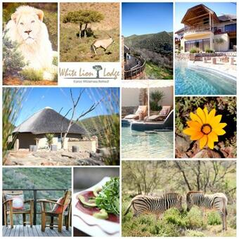 Hostal White Lion Lodge On Sanbona