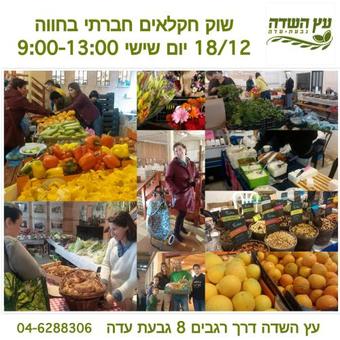 Bed & Breakfast A Pastoral B & B