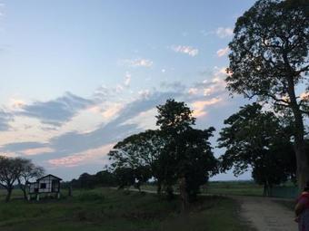Bed & Breakfast Nature Hunt Eco Camp