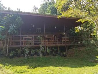 Hotel Jungle Retreat Wayanad