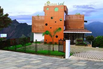 Hotel Palm Tree Leaf Munnar