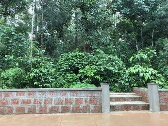 Hotel Room Stay In A Plantation Farm Stay