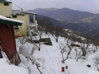 Hotel Pailaaag Orchard & Restaurant