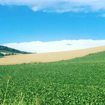 Villa Lombardi - Dell'aglio B&B