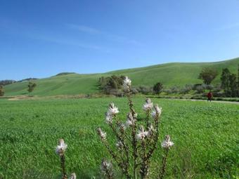Albergue Ostello Bella Calabria