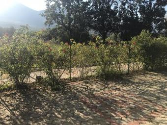 Bed & Breakfast Gelsomino