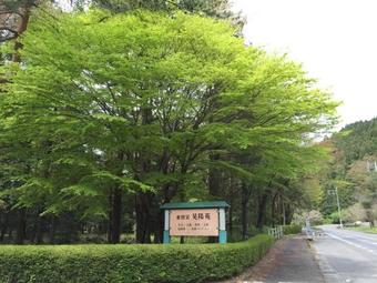 Hotel Nikko Toshogu Koyoen