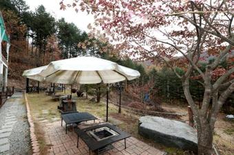 Pinearoma Pension