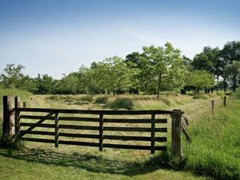Authentically Designed House With Dishwasher, In Twente
