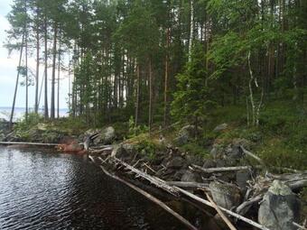 Guest House Karhu-segozero