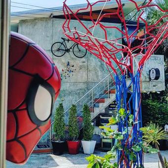 Aparthotel Tummi House