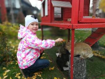 Hotel Veselyj Zajets