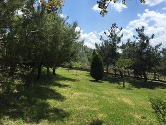 Agroturismo L'albero D'oro