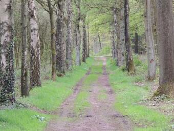 Modern Chalet With A Dishwasher, Near A Pond