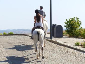 Agroturismo Casa Das Castas Wine Guesthouse