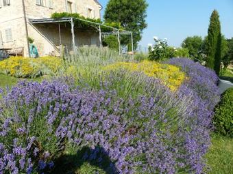 Tenuta-paradiso Panoramaloft