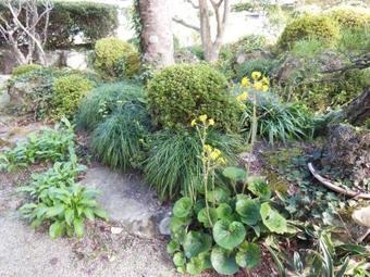 Japanese Style Inn Dohzen Miwa