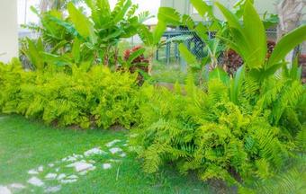 Hostal Casita Del Mar