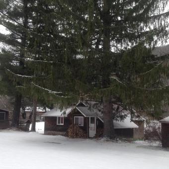 Cold Spring Lodge