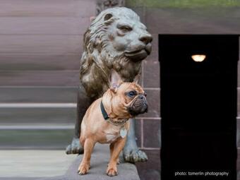 Hotel The Mansion On O Street