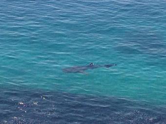 Hotel Jaynet Oceanview Resort