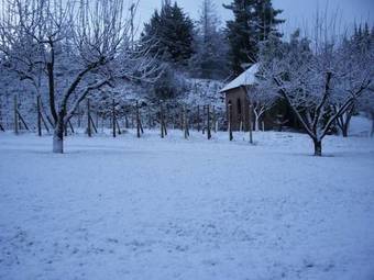 Lodge Caba�as Y Bodega Fraschetti - Niuke