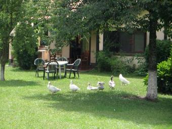 Agroturismo Caba�as Las Hortensias