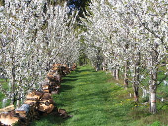 Lodge Arroyo Escondido