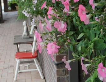 Bidgee Motor Inn -no Pet's Allowed