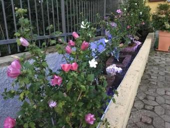 Villa Marilena Con Accesso Diretto Al Lago